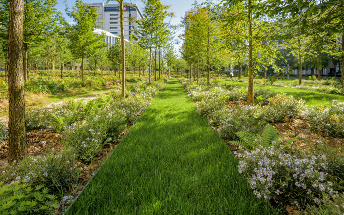Rénovation de jardins à Paris : Les artisans à connaître découvrez les meilleurs artisans pour l