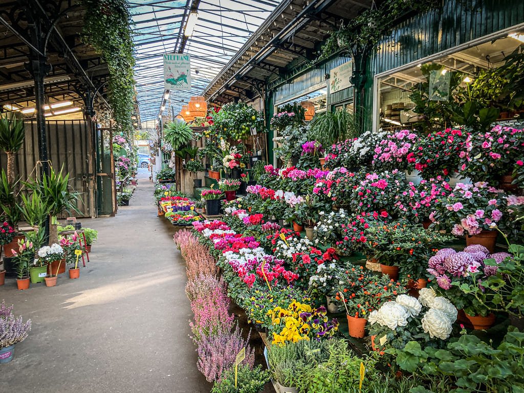 Découvrez à quoi ressemblera le marché aux fleurs de l'île de la Cité, une fois les quatre années de rénovation achevées découvrez le marché aux fleurs rénové, un lieu enchanteur où la beauté des fleurs se mêle à une atmosphère conviviale. flânez parmi une vaste sélection de plantes colorées et de compositions florales, tout en profitant des espaces modernisés et accueillants. réveillez vos sens et laissez-vous inspirer par la nature qui vous entoure.