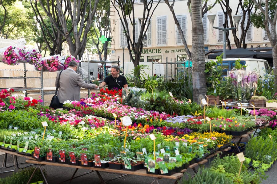 Découvrez à quoi ressemblera le marché aux fleurs de l'île de la Cité, une fois les quatre années de rénovation achevées découvrez le marché aux fleurs rénové, un lieu enchanteur où la nature s