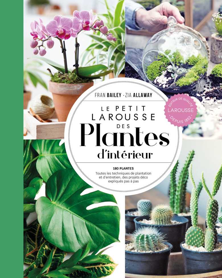 Les plantes d'intérieur idéales pour un appartement à Paris 4ᵉ découvrez les plus belles plantes d