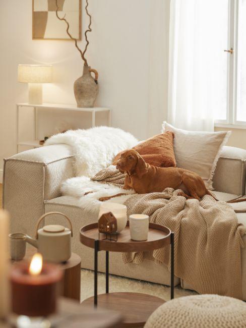 Aménagement intérieur : astuces pour rendre votre salon plus accueillant découvrez comment créer un salon accueillant avec des conseils de décoration, d