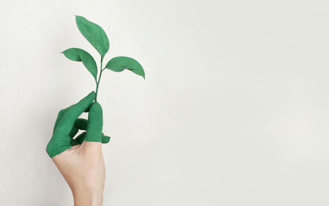 Artisan rénovation appartement : comment choisir le bon professionnel en 2025 ? découvrez comment choisir le bon artisan pour vos travaux de rénovation en 2025 : conseils pratiques, critères essentiels et astuces pour garantir la réussite de votre projet.