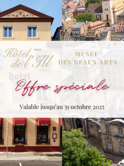 L'Hôtel de l'Ill à Strasbourg : un espace en pleine métamorphose découvrez la transformation de l