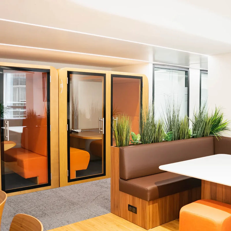 Les plantes à intégrer dans votre rénovation à Paris 75004 découvrez notre sélection de plantes idéales pour la rénovation de vos espaces à paris 75004 : aménagement intérieur, conseils sur mesure et livraison rapide pour embellir votre habitat !