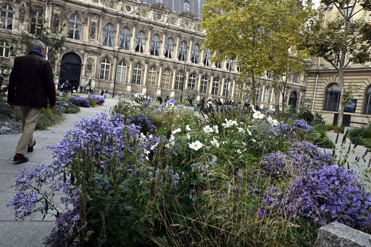 La place Saint-Gervais se transforme en jardin mémoriel dédié aux victimes des attentats du 13-Novembre découvrez le jardin mémoriel du 13-novembre sur la place saint-gervais, un lieu de recueillement et de mémoire dédié aux victimes des attentats.