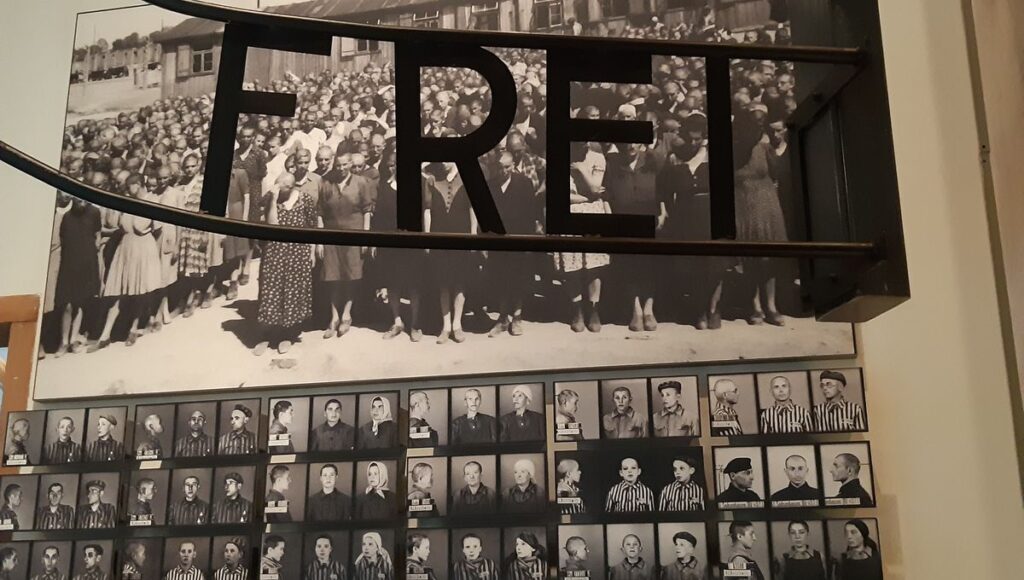 découvrez une exploration approfondie de la mémoire de la shoah, retraçant l'histoire, les témoignages et l'importance du souvenir pour les générations futures.