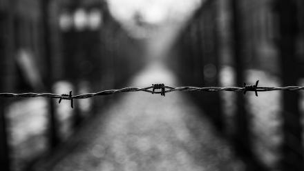 Exploration guidée : Les chemins de la Mémoire de la Shoah une exploration approfondie de la mémoire de la shoah, mettant en lumière les témoignages, l